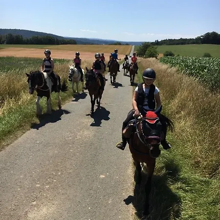 Schiefe Haus Odenwald *