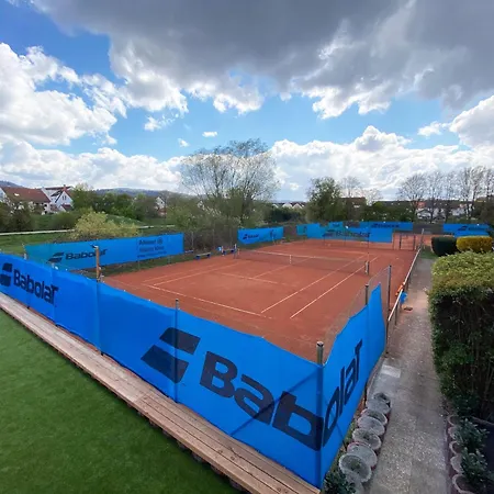 Schiefe Haus Odenwald Apartman