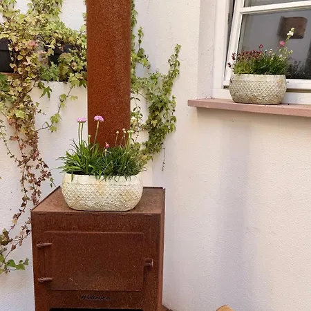 Apartamento Heppenheim Mit Hund- 