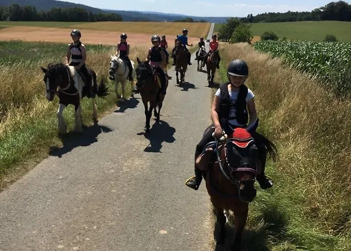Schiefe Haus Odenwald *